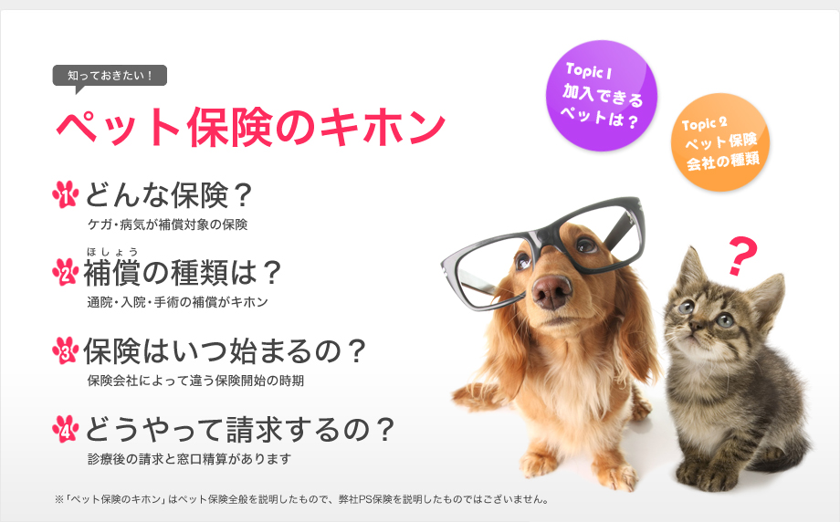 知っておきたい！ペット保険のキホン