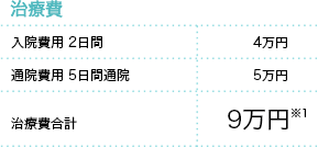 治療費 入院費用 2日間 4万円 通院費用 5日間通院 5万円 治療費合計 9万円※1