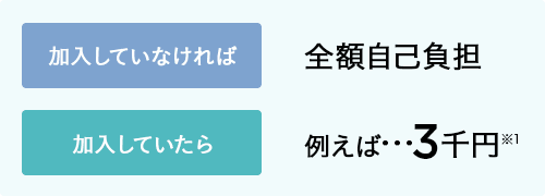 加入していなければ 全額自己負担 加入していたら 例えば...3千円※1