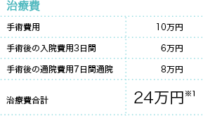 治療費 手術費用 10万円 手術後の入院費用3日間 6万円 手術後の通院費用7日間通院 8万円 治療費合計 24万円※1
