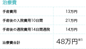 治療費 手術費用 13万円 手術後の入院費用10日間 21万円 手術後の通院費用14日間通院 14万円 治療費合計 48万円※1
