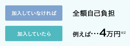 加入していなければ全額自己負担 加入していたら 例えば...4万円※2