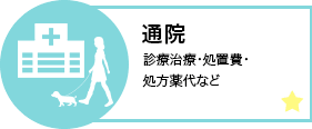 通院 診療治療・処置費・処方薬代など