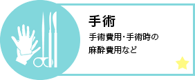 手術 手術費用・手術時の麻酔費用など