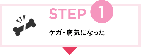 STEP1 ケガ・病気になった