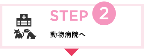 STEP2 動物病院へ