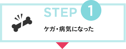 STEP1 ケガ・病気になった
