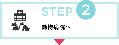 STEP2 動物病院へ