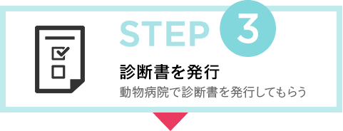 STEP3 診断書を発行 動物病院で診断書を発行してもらう