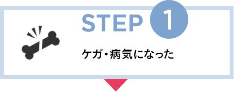 STEP1 ケガ・病気になった