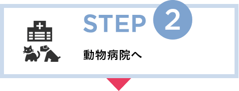 STEP2 動物病院へ