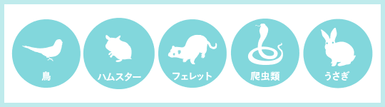 その他 ペットメディカルサポートのペット保険「PS保険」ではお受けできません。