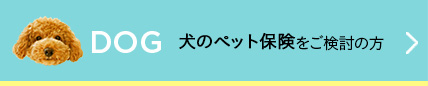 犬の保険をご検討の方