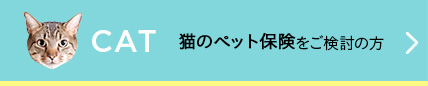 猫の保険をご検討の方