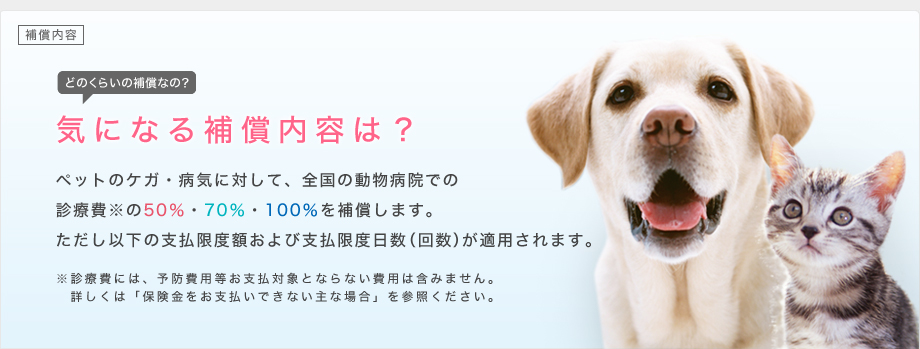 補償内容