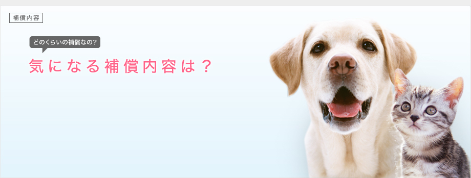 補償内容