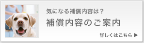 保障内容のご案内