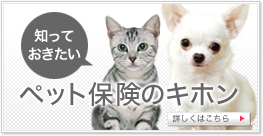 ペット保険のキホン