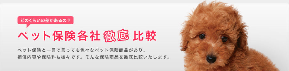 ペット保険徹底比較ペット保険と一言で言っても色々なペット保険会社があり、 補償内容やサービスも異なります。そんな保険会社を徹底比較いたします。