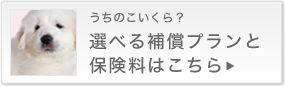 保険料のご案内