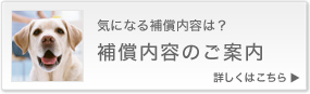 補償内容のご案内