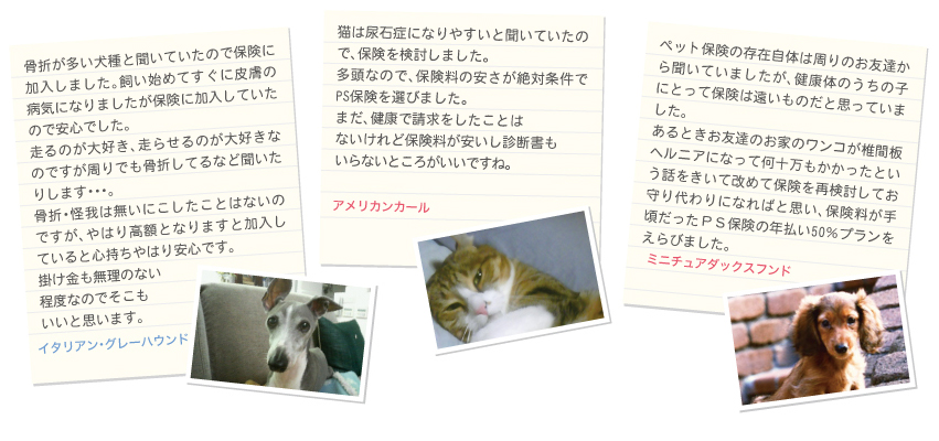 お客さまから頂いたお声の一部です。