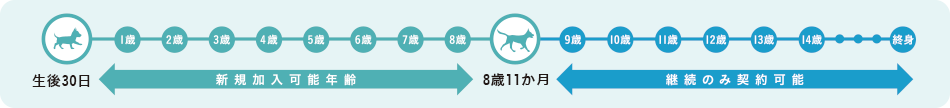 新規加入可能年齢と継続についてのイメージ