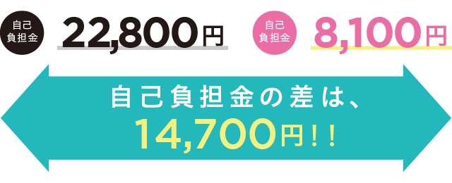 お支払い保険金