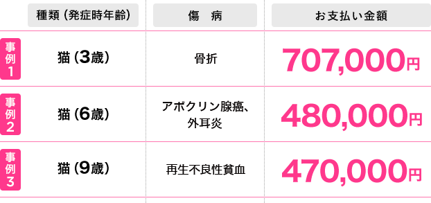 2022年4月1日~2023年3月31日までの猫の保険金お支払い事例