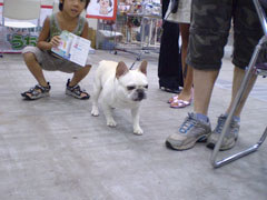 ペット博2008in福岡