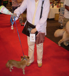Pet博2008 in 名古屋