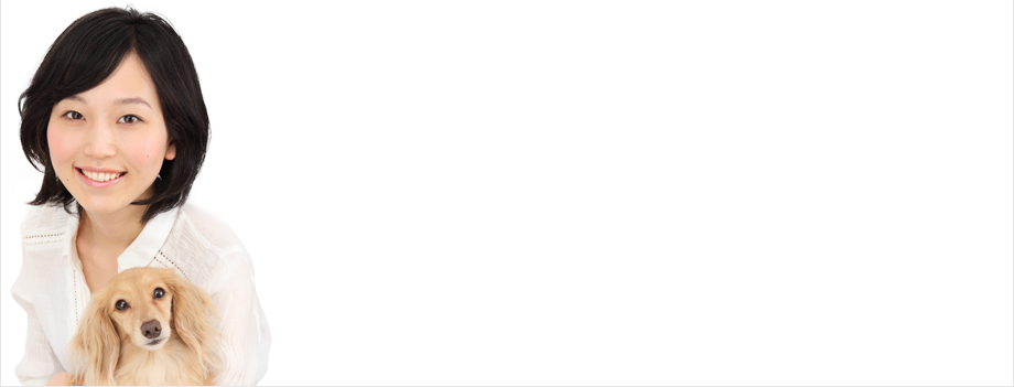 ペット保険選びのポイント