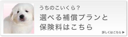 うちのこいくら？選べる補償プランと保険料はこちら