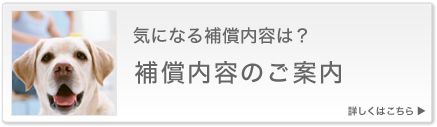 気になる補償内容は？補償内容のご案内