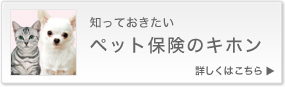 知っておきたい　ペット保険のキホン