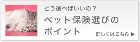 どう選べばいいの?ペット保険選びのポイント