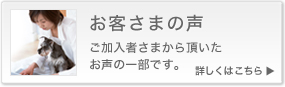 お客さまの声