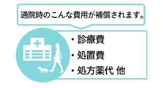 通院時の「診療費」「処置費」「処方薬代」などの費用が補償されます。