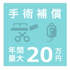 手術補償 年間最大20万円