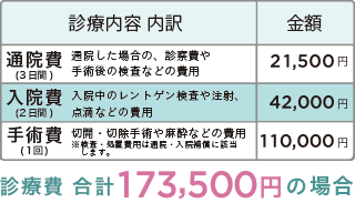 診療内容内訳