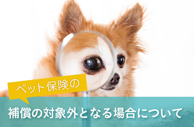ペット保険で補償の対象外となる場合について